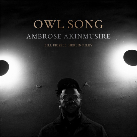 AMBROSE AKINMUSIRE - OWL SONG (2023)