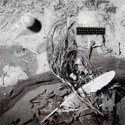 DAVID SYLVIAN - SECRETS OF THE BEEHIVE (LP - 1987)