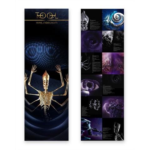 TOOL - FEAR INOCULUM (3LP - 2019)