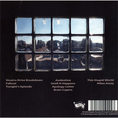 YO LA TENGO - THIS STUPID WORLD (2023)