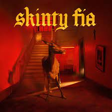 FONTAINES D.C. - SKINTY FIA (LP - ROSSO - 2022)