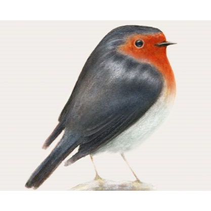 BRUNORI SAS - CIP! (LP - 2020)