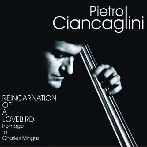 CIANCAGLINI PIETRO - REINCARNATION OF A LOVE BIRD