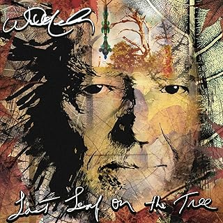 WILLIE NELSON - LAST LEAF ON THE TREE (2024)