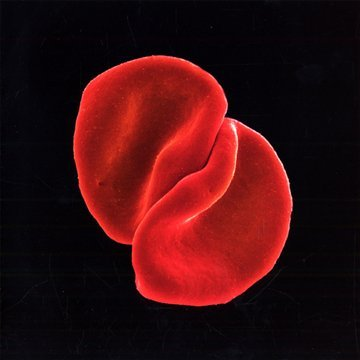 PETER GABRIEL - SCRATCH MY BACK