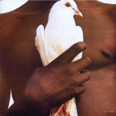 SANTANA - THE VERY BEST OF (1996)