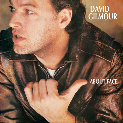 DAVID GILMOUR - ABOUT FACE (REMASTER 2006)