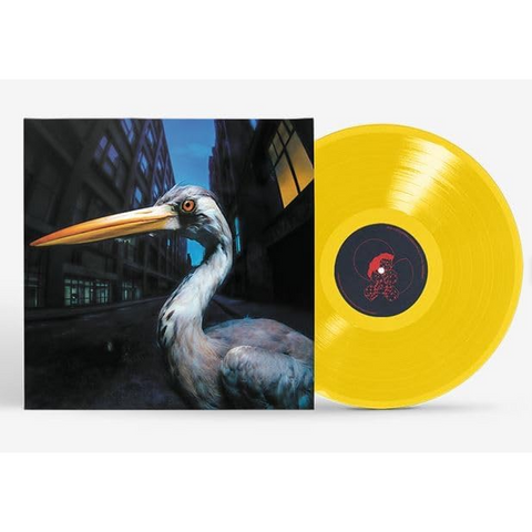ANTONY SZMIEREK - DECODING BIRDSONG (LP - GIALLO - 2026)