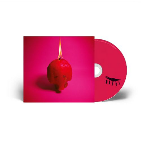ARCADE FIRE - PINK ELEPHANT (2025)