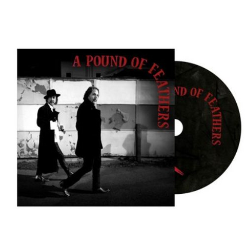 THE BLACK CROWES - A POUND OF FEATHERS (2026)