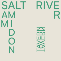 SAM AMIDON - SALT RIVER (LP - 2025)