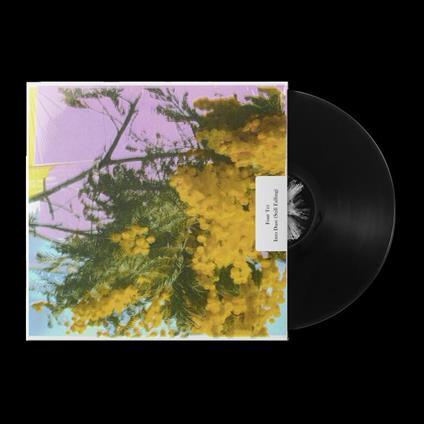FOUR TET - INTO DUST [STILL FALLING] (LP - 2025)
