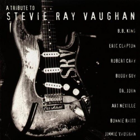 STEVIE RAY VAUGHAN - ARTISTI VARI - A TRIBUTE TO (1996)