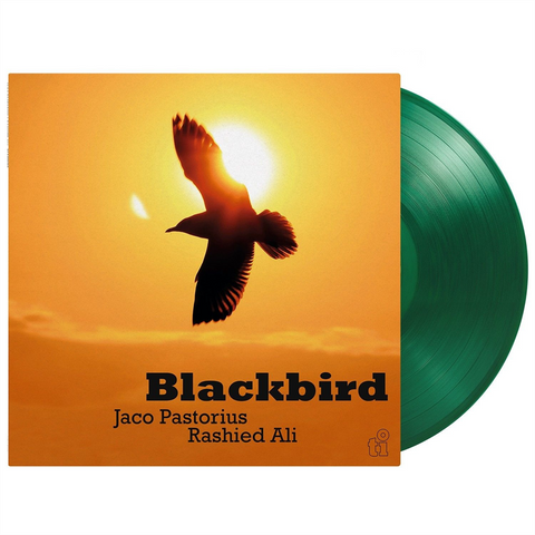 JACO PASTORIUS - BLACKBIRD (LP - CLRD | RE26 - 1991)