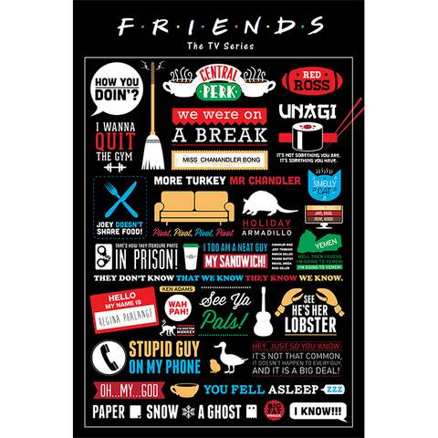 FRIENDS - INFOGRAPHIC - 508 - POSTER 61x91,5