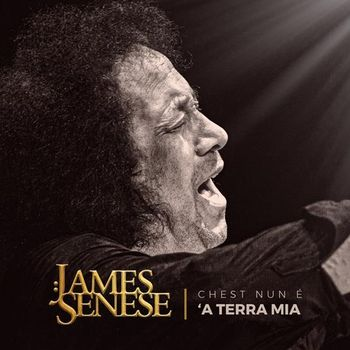 JAMES SENESE - CHEST NUN E' 'A TERRA MIA (LP - 2025)