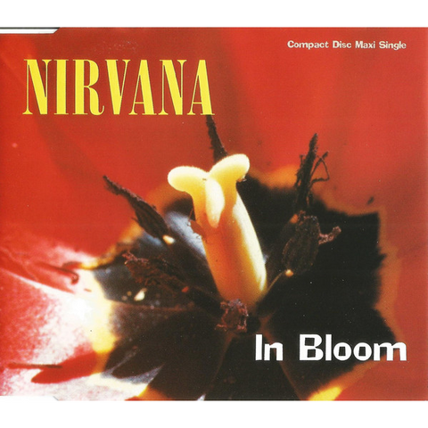 NIRVANA - IN BLOOM (1992 - single)