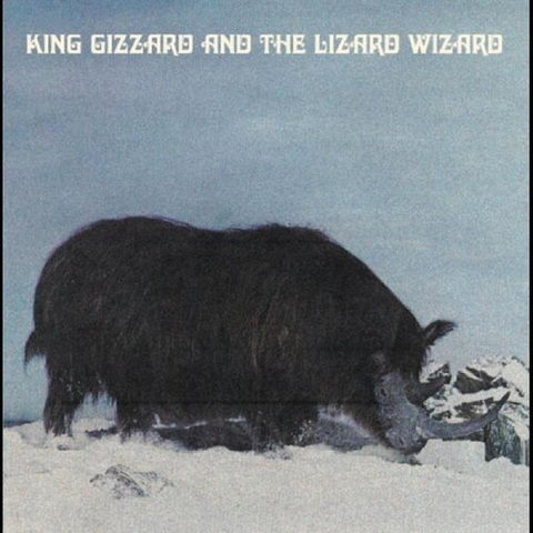 KING GIZZARD AND THE LIZARD WIZARD - POLYGONDWANALAND (LP - fuzz club version - 4° album del - 2017)