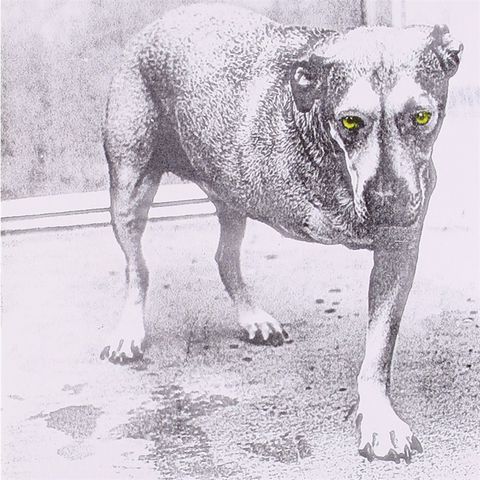 ALICE IN CHAINS - ALICE IN CHAINS (1995)
