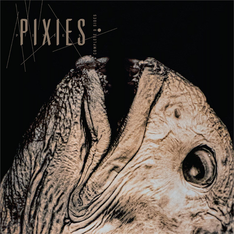 PIXIES - COMPLETE B-SIDES 1988-1997 (2LP - 2026)