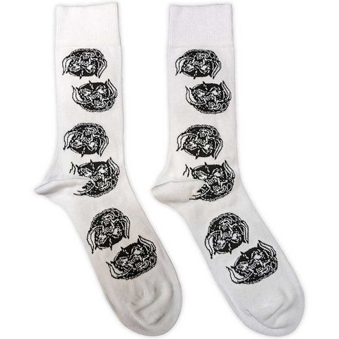 SEMMSTORE|02ae5a28c2ec05c5d2e787ec705d28bb