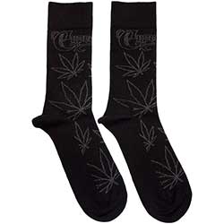 SEMMSTORE|c1c4270c0f04de2b04e1c0b1391f5314