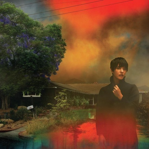 SHARON VAN ETTEN - WE'VE BEEN GOING ABOUT THIS ALL WRONG (LP - 2022)