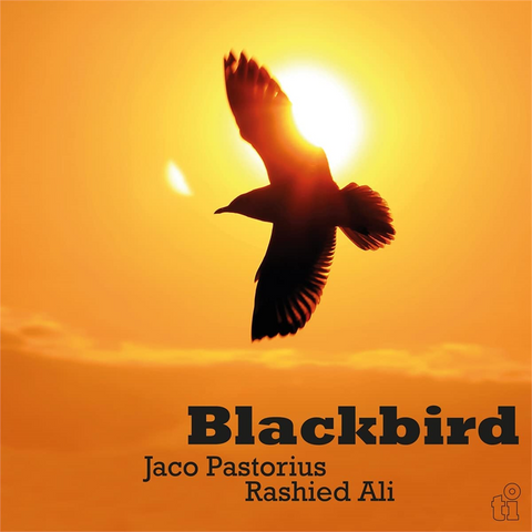 JACO PASTORIUS - BLACK BIRD (LP - color | rem23 - 1991)