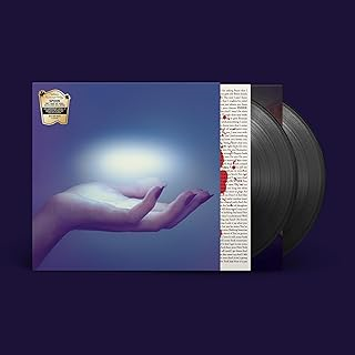 SPOON - THEY WANT MY SOUL: MORE SOUL (2LP - DELUXE | REM24 - 2014)