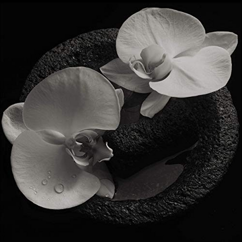 MIKE PATTON - CORPSE FLOWER (LP - 2019)