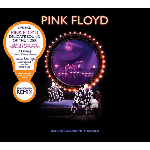 PINK FLOYD - DELICATE SOUND OF THUNDER (1988 - 2CD)