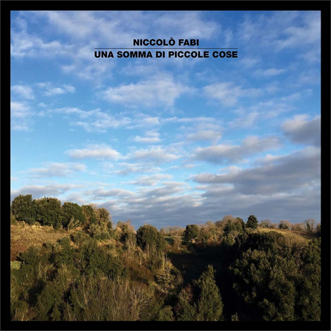 NICCOLO' FABI - UNA SOMMA DI PICCOLE COSE (LP)