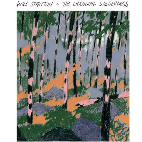 WILL STRATTON - THE CHANGING WILDERNESS (LP - 2022)