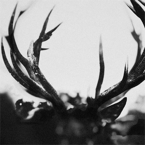 IHSAHN - IHSAHN (2LP - 2024)