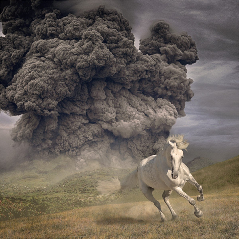 THE WHITE BUFFALO - YEAR OF THE DARK HORSE (LP - GRIGIO - 2023)