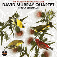 DAVE MURRAY - BIRDLY SERENADE (2025)