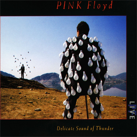 PINK FLOYD - DELICATE SOUND OF THUNDER (1988 - LIVE)