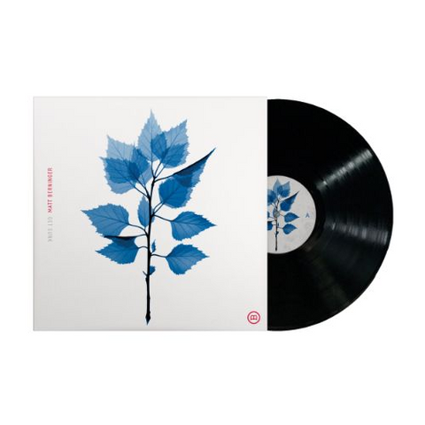 MATT BERNINGER - GET SUNK (LP - 2025)