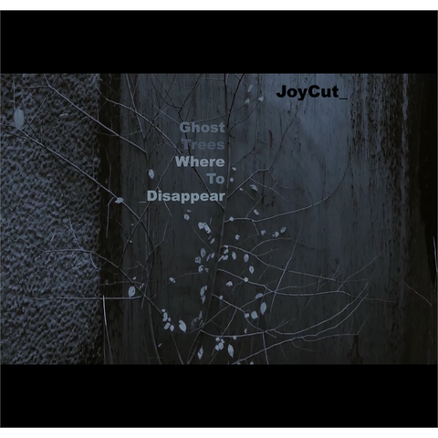 JOYCUT - GHOST TREES WHERE TO DISAPPEAR (LP - CLRD | LTD - RSD'21)