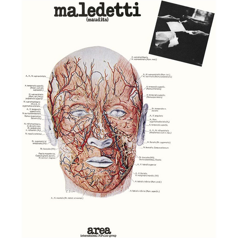 AREA - MALEDETTI (LP - bianco rosa splatter | rem22 | num - 1976)