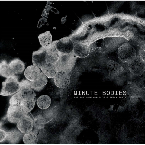 TINDERSTICKS - MINUTE BODIES: THE PERFECT WORLD...(2017 - CD+DVD)