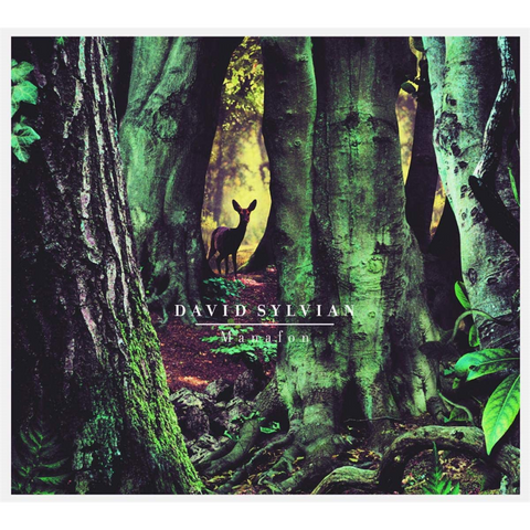 DAVID SYLVIAN - MANAFON (2LP - REM22 - 2009)