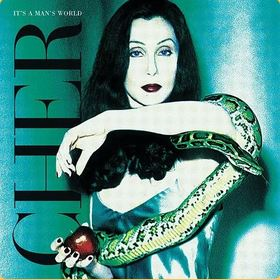 CHER - IT'S A MAN'S WORLD (2LP - REM25 - 1995)