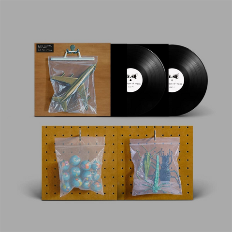 BLACK COUNTRY NEW ROAD - ANTS FROM UP THERE (2LP – 2022)