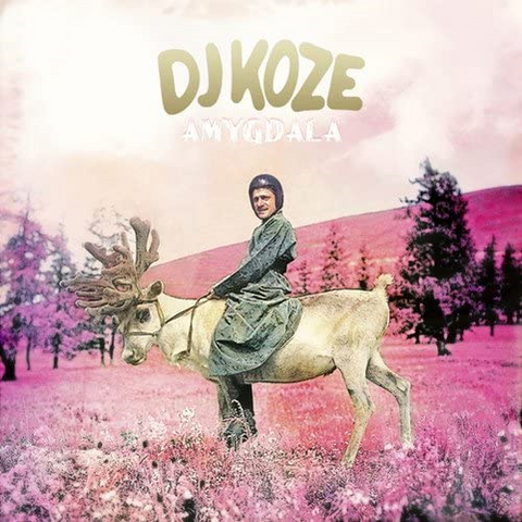 DJ KOZE - AMYGDALA (2LP - rem22 - 2013)