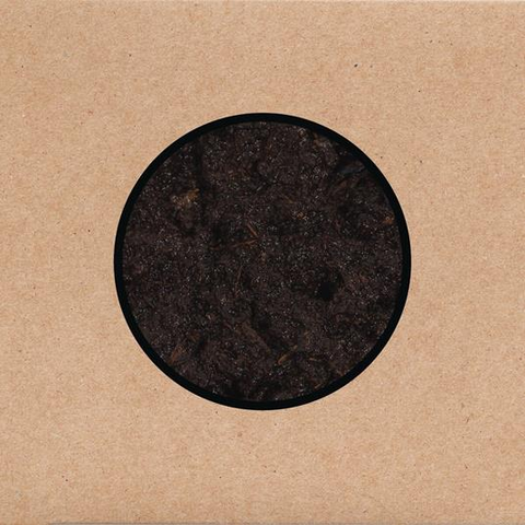 SWANS - BIRTHING (2025 - 2CD)