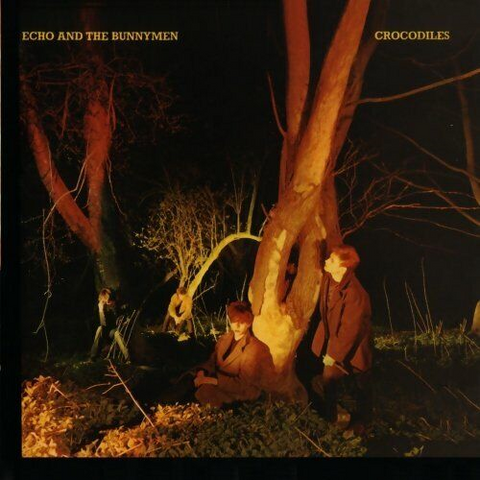 ECHO & THE BUNNYMEN - CROCODILES (1980 - rem04)