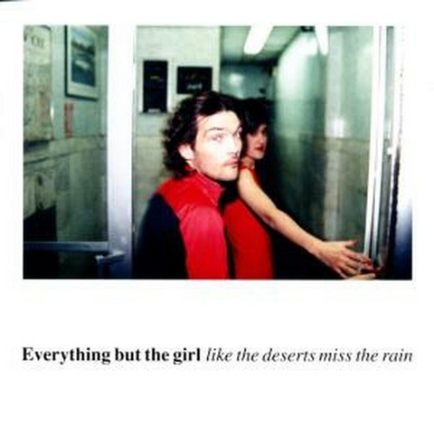EVERYTHING BUT THE GIRL - LIKE THE DESERTS MISS THE RAIN (2002 - best)