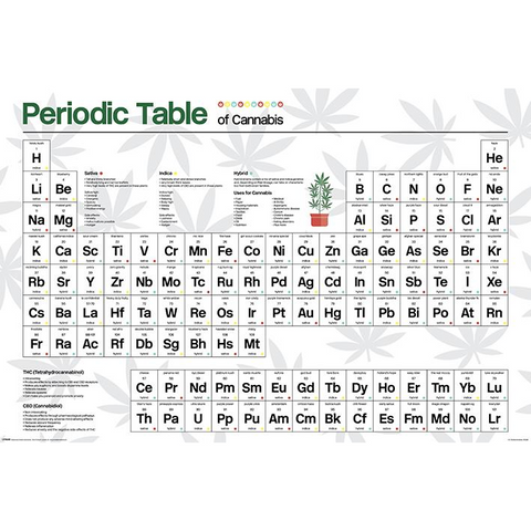 CANNABIS - PERIODIC TABLE OF CANNABIS - poster - 869 - 61x91,5cm