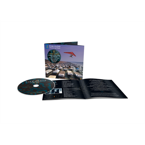 PINK FLOYD - A MOMENTARY LAPSE OF REASON (1987 - REM’21)